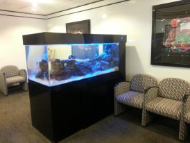 Office Photo